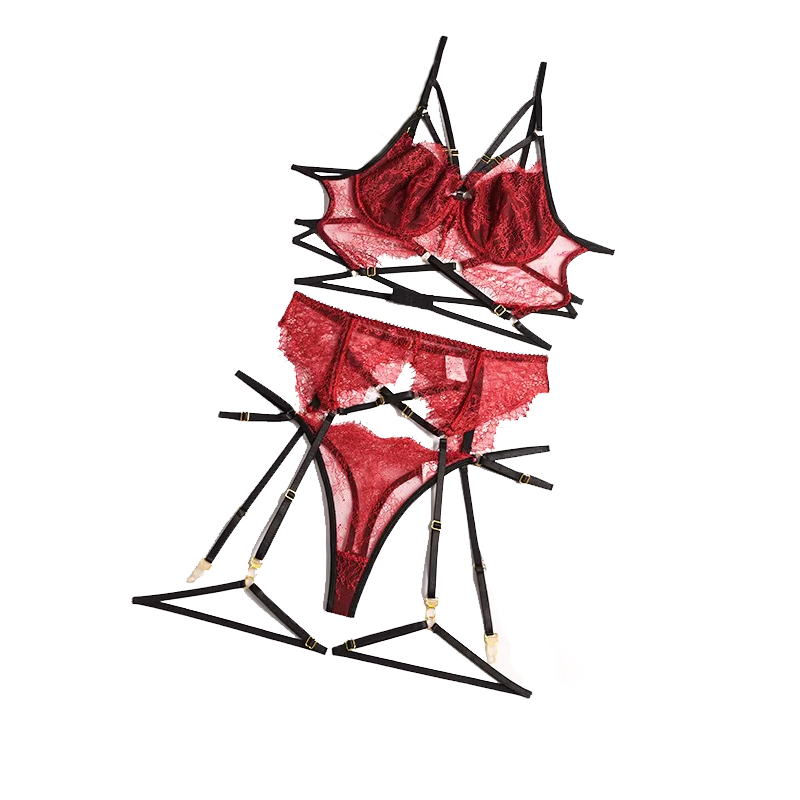 Neue Spitze sexy Dessous trans – Lace Bralette Set Bewertung und Preis